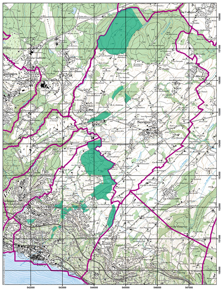 Lutry Carte Des Forets 